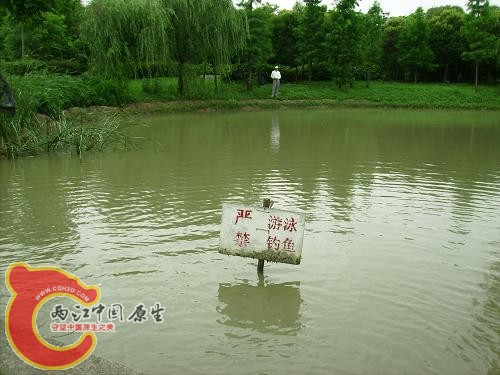 严禁钓鱼