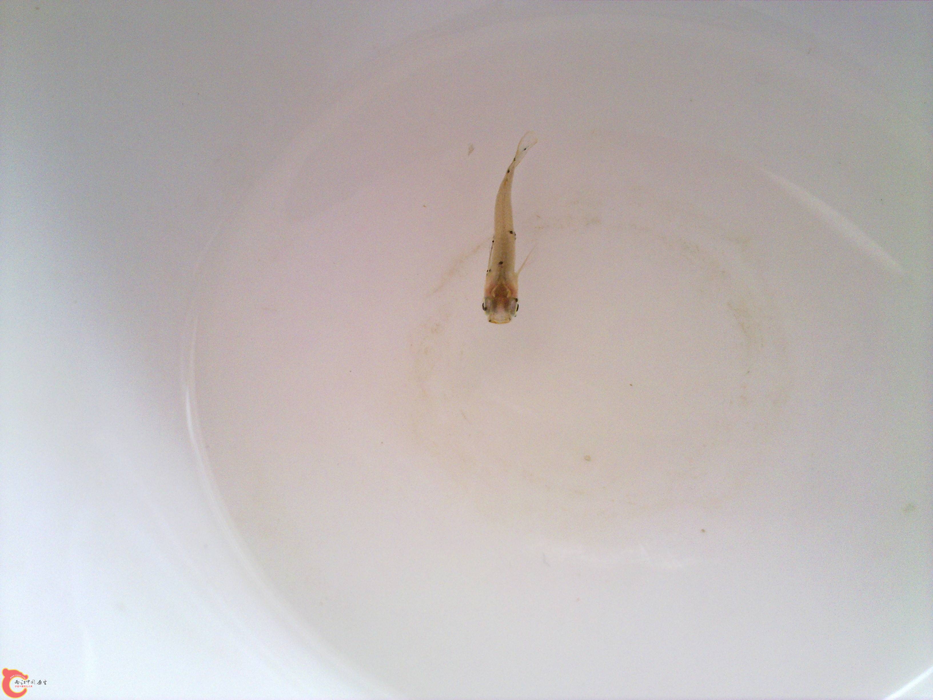 20101005535.jpg