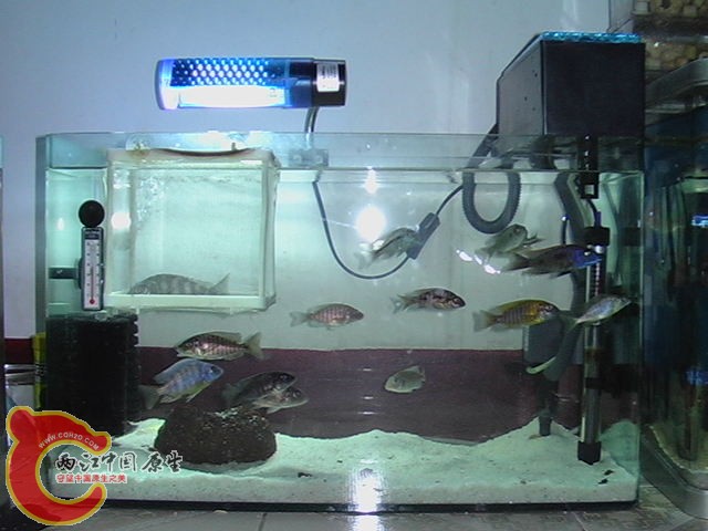 IMGA0581.JPG