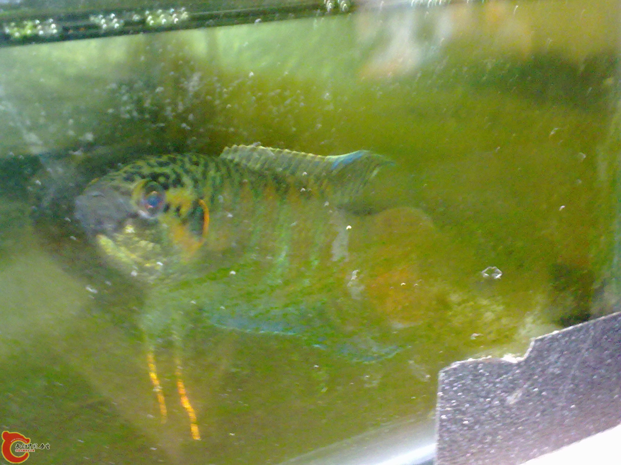 20101005068.jpg