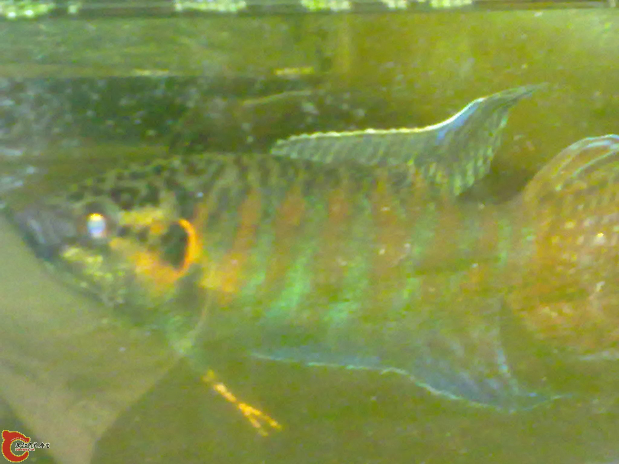 20101005065.jpg