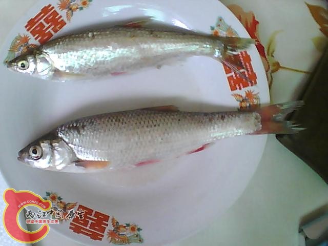 图片 051[1].jpg