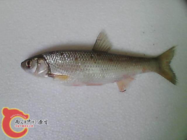 图片 048[1].jpg