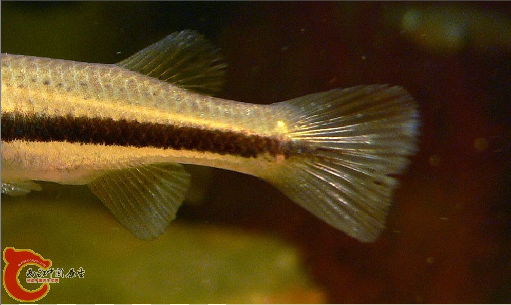 1007-054.jpg