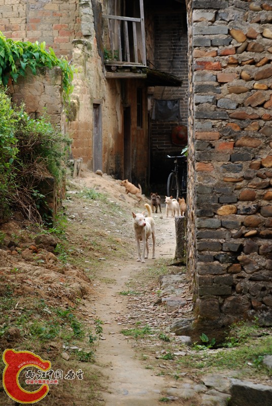 DSC_0123.JPG