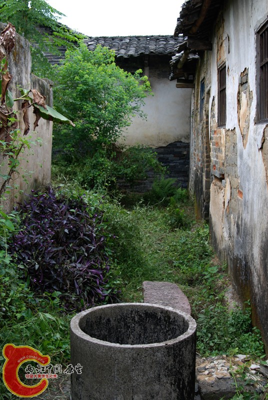 DSC_0121.JPG