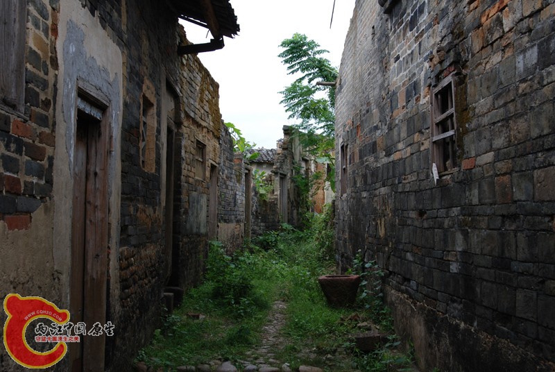 DSC_0117.JPG