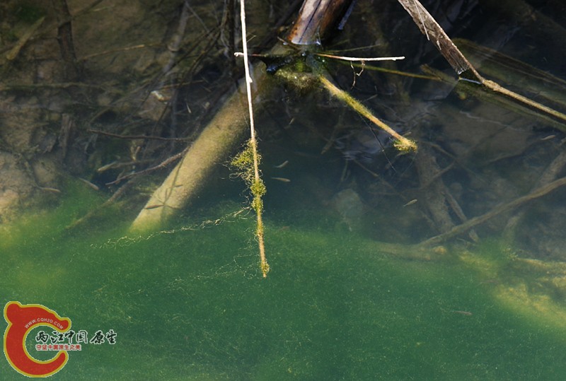 DSC_0133.JPG