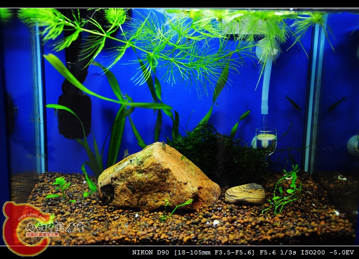 DSC_0719_光影_1.jpg