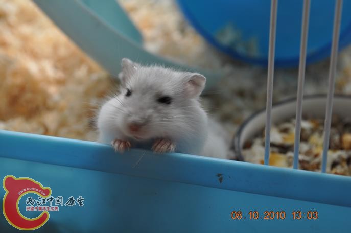 DSC_0675.JPG