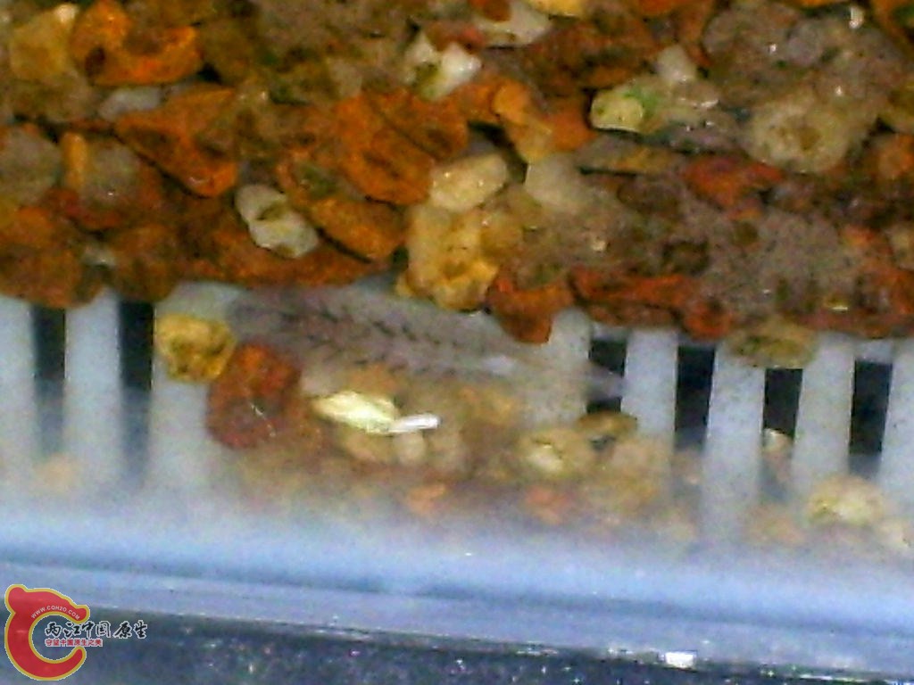 S5030023.JPG