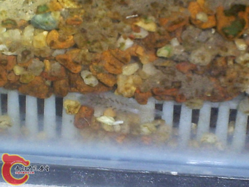 S5030017.JPG