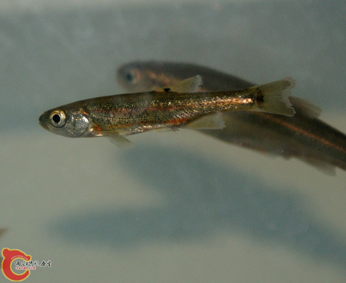 DSC06247.JPG