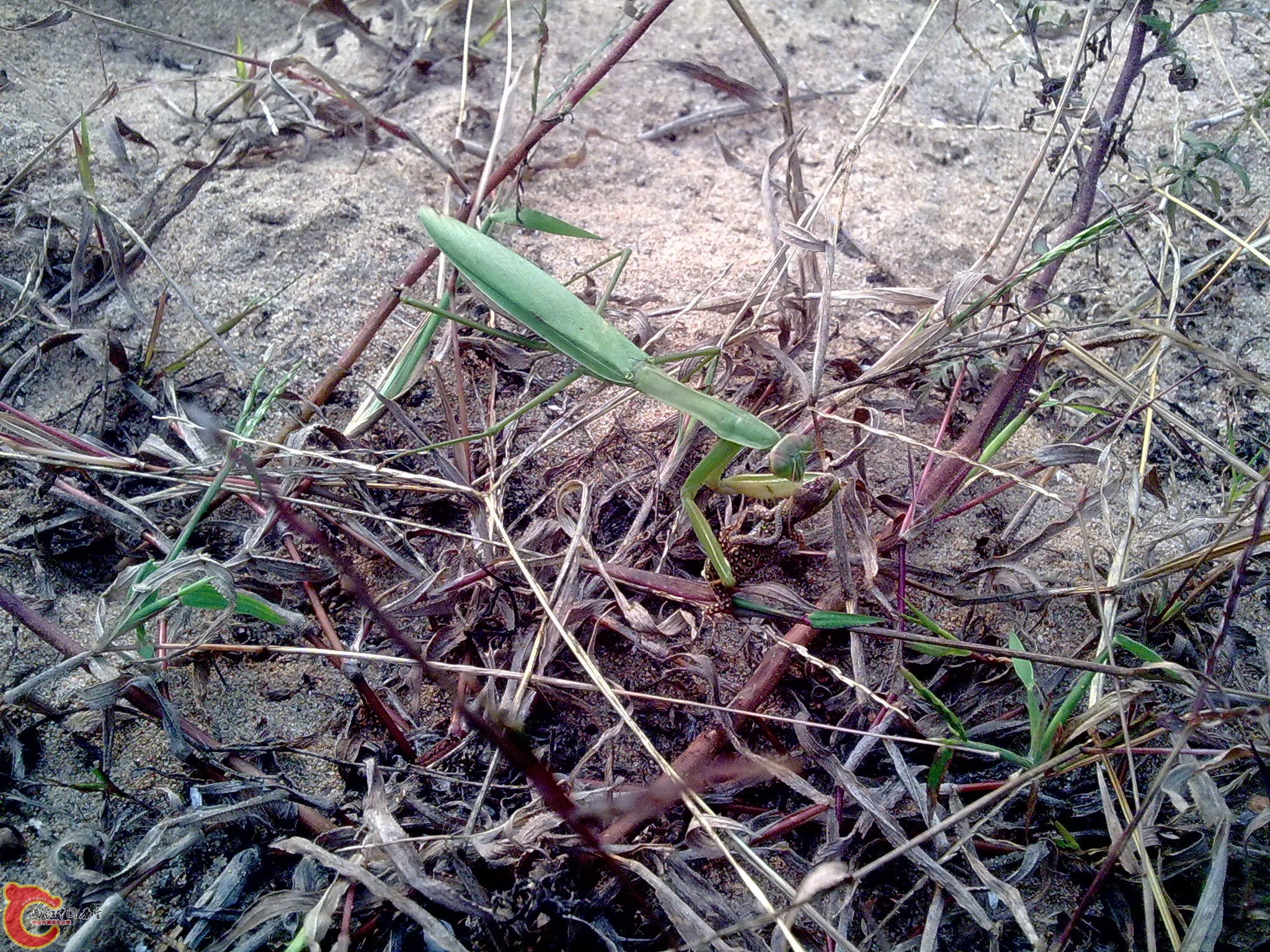 20101009428.jpg