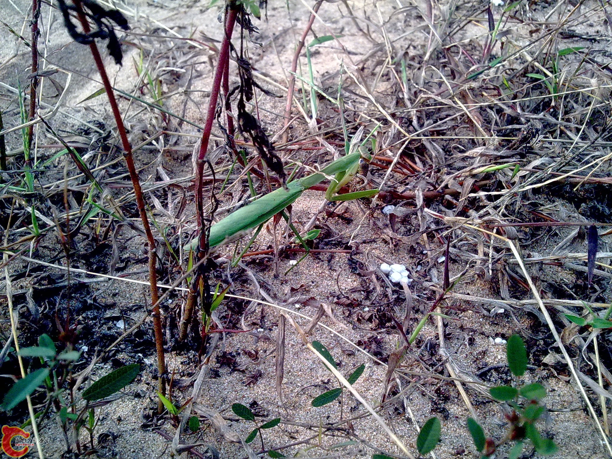 20101009427.jpg