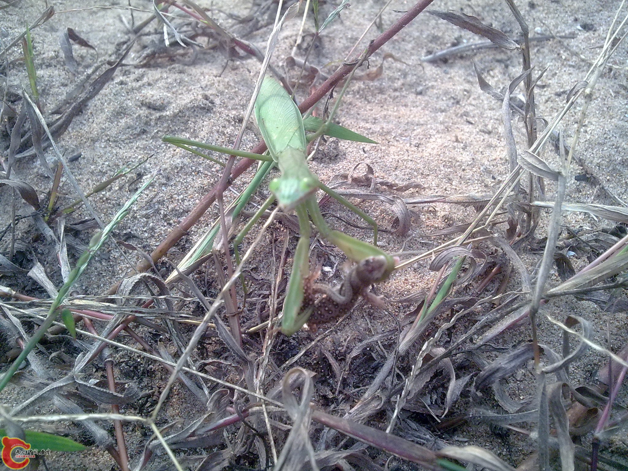 20101009429.jpg
