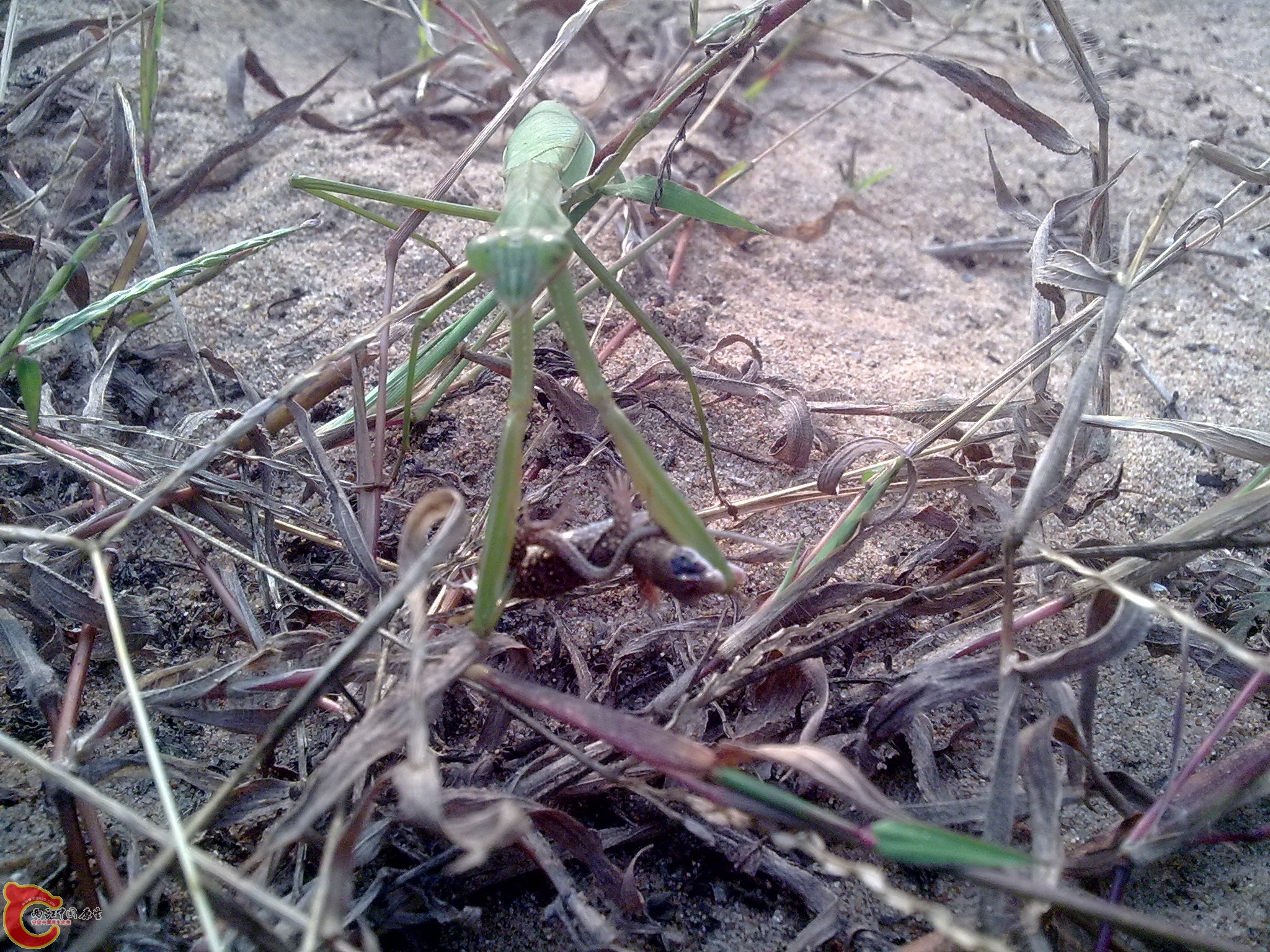 20101009431.jpg
