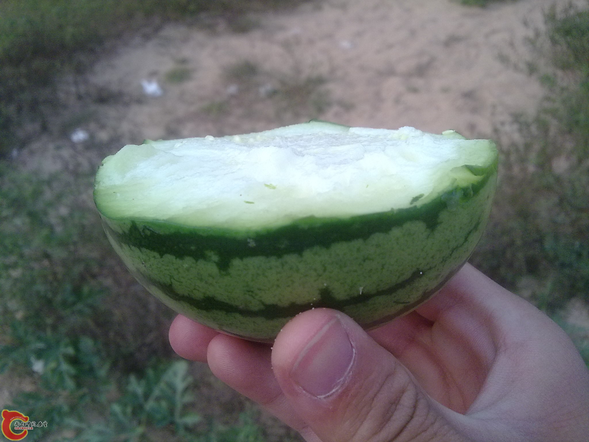 20101009434.jpg