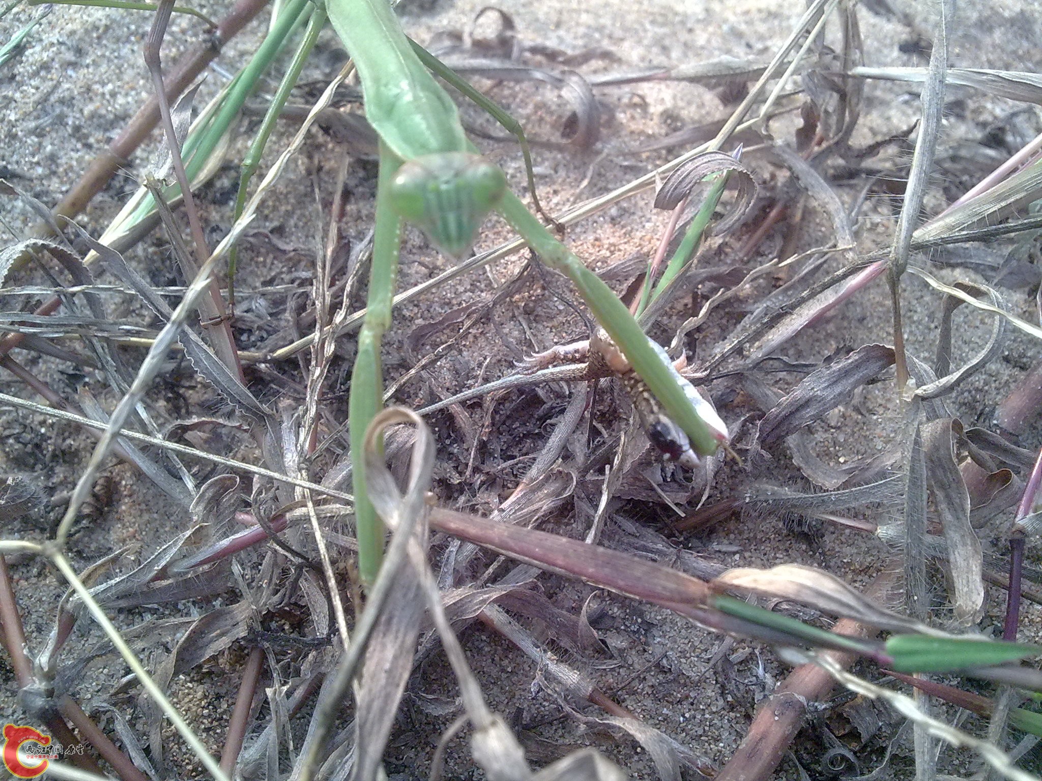 20101009433.jpg