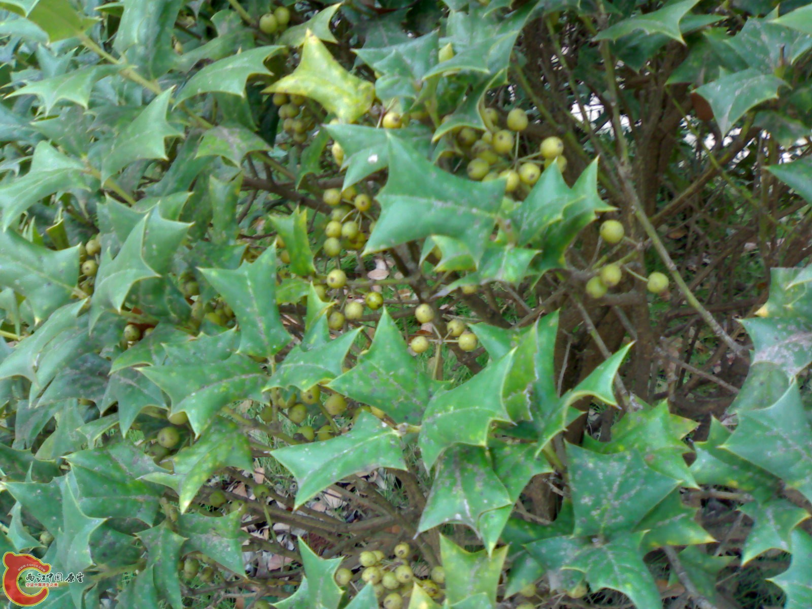 20101011239.jpg