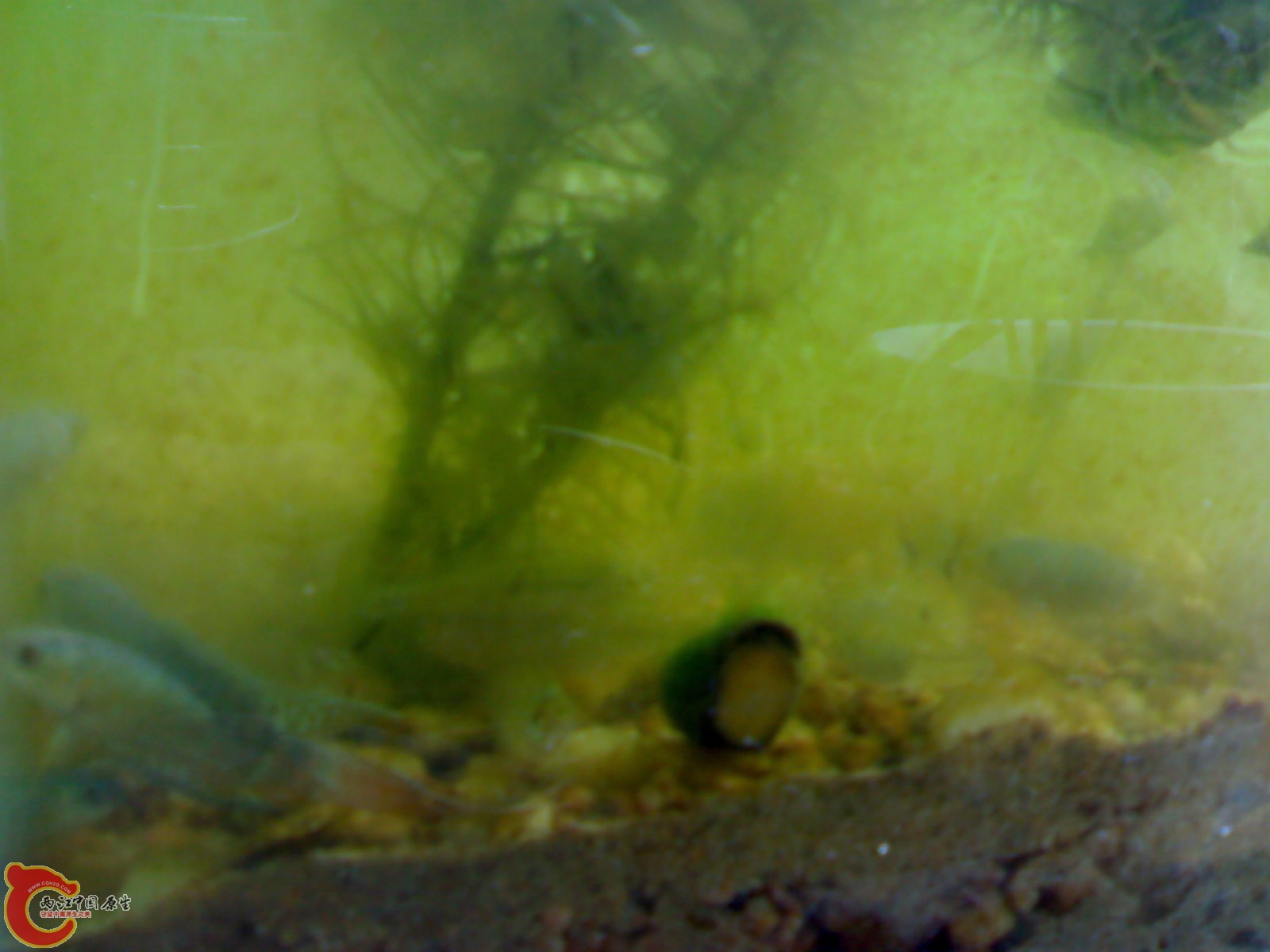 20101011247.jpg