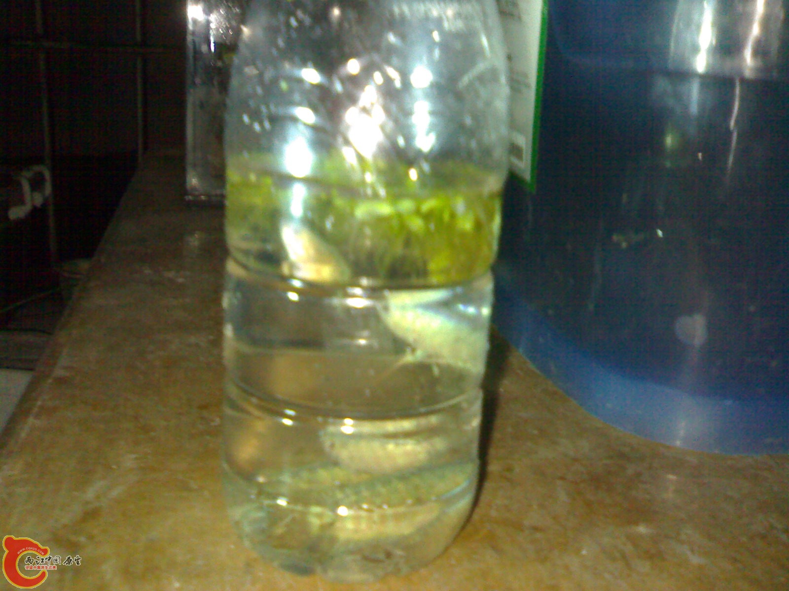 20101010238.jpg