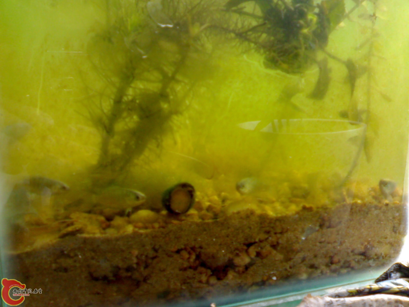 20101011249.jpg