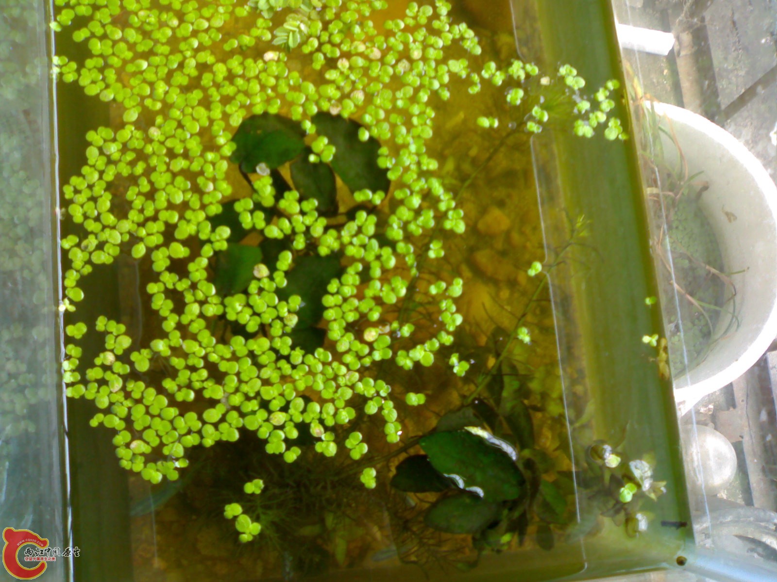 20101011251.jpg