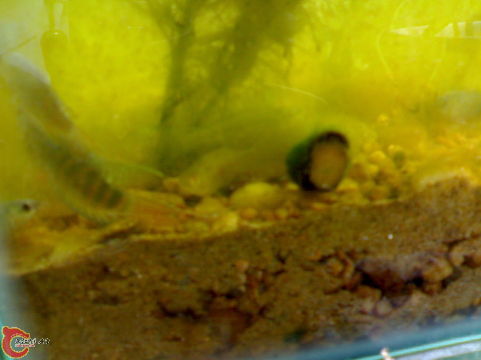 20101011248.jpg