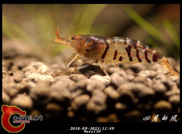 DSC03119b.jpg