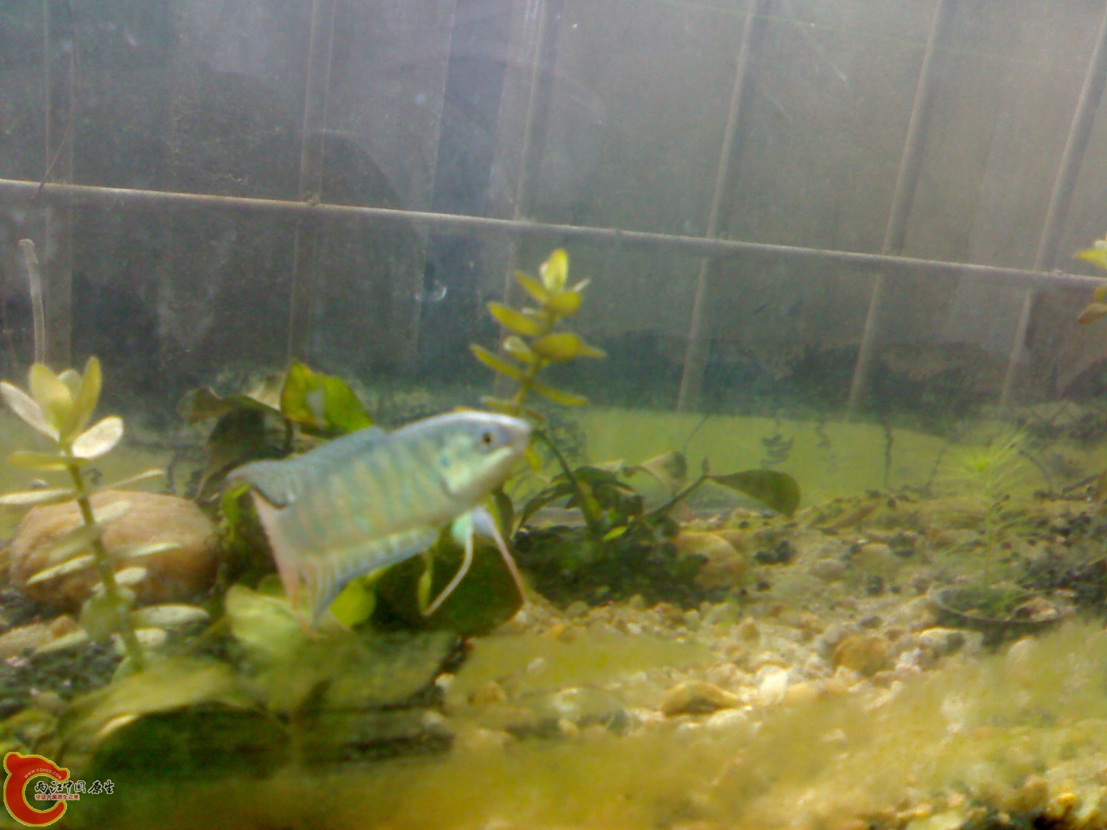 20101014299.jpg