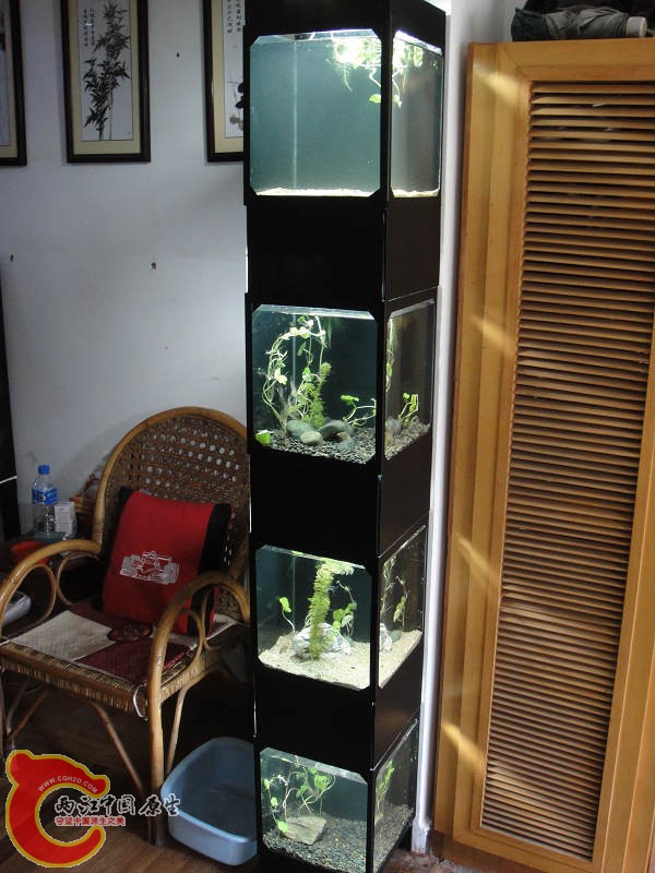 DSC03570.jpg