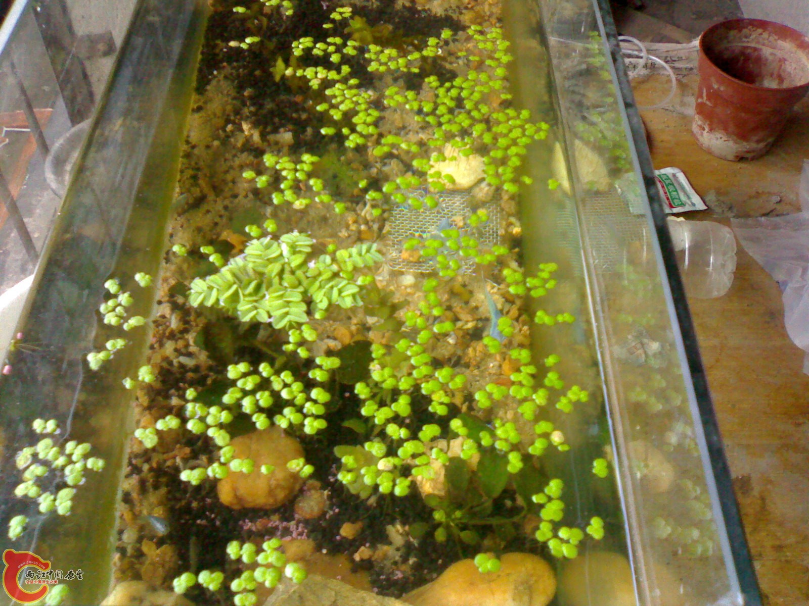 20101014304.jpg