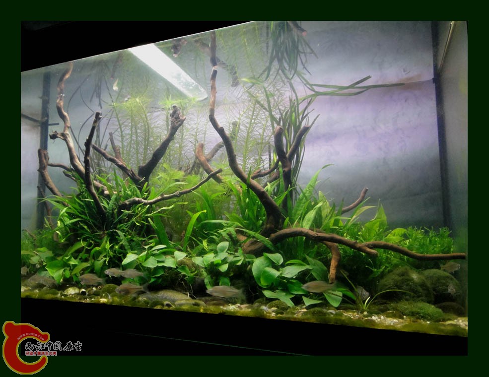 DSC10016.jpg