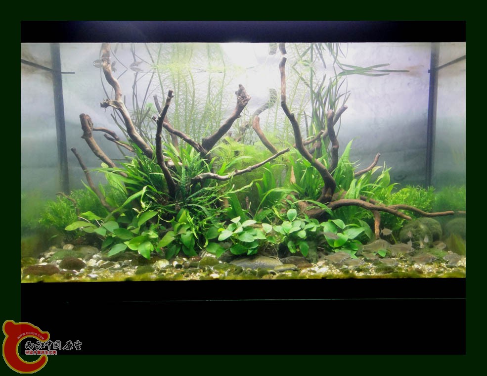 DSC10014b.jpg