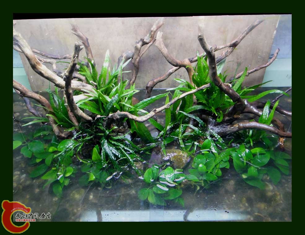 DSC00364.jpg