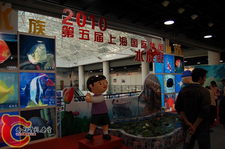 DSC_9929.jpg