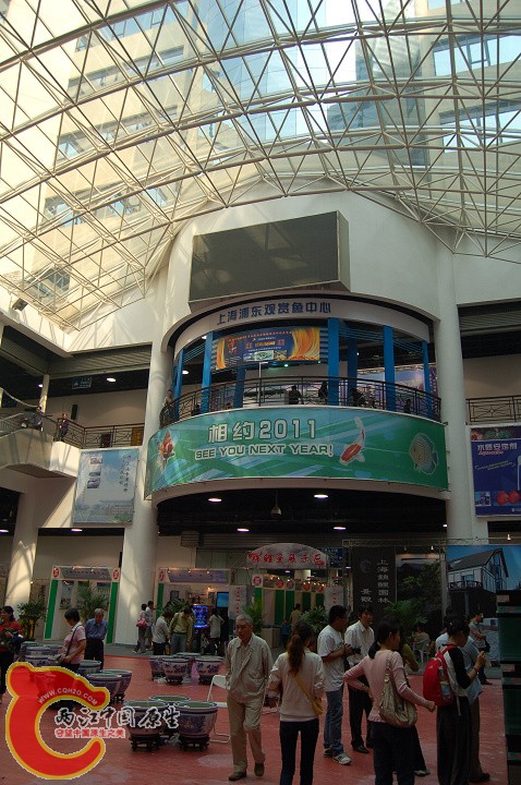 DSC_9944.jpg
