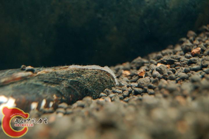 DSC_9976.jpg