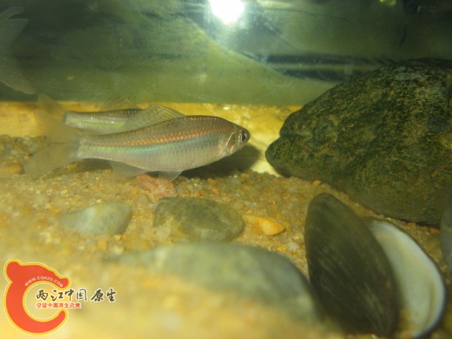 IMG_1426.JPG