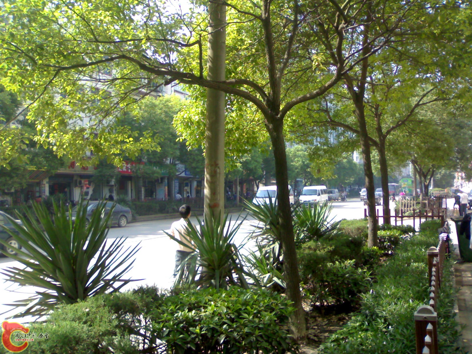 20101017361.jpg