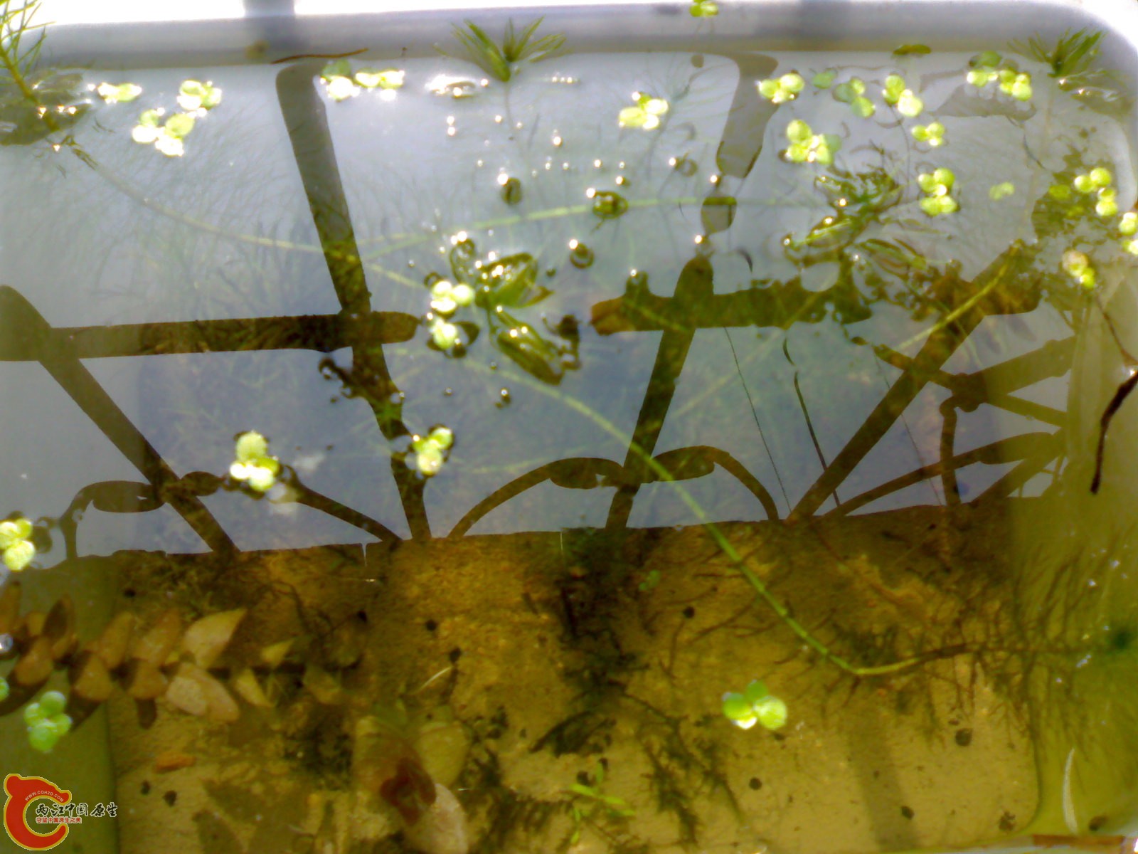 20101016331.jpg