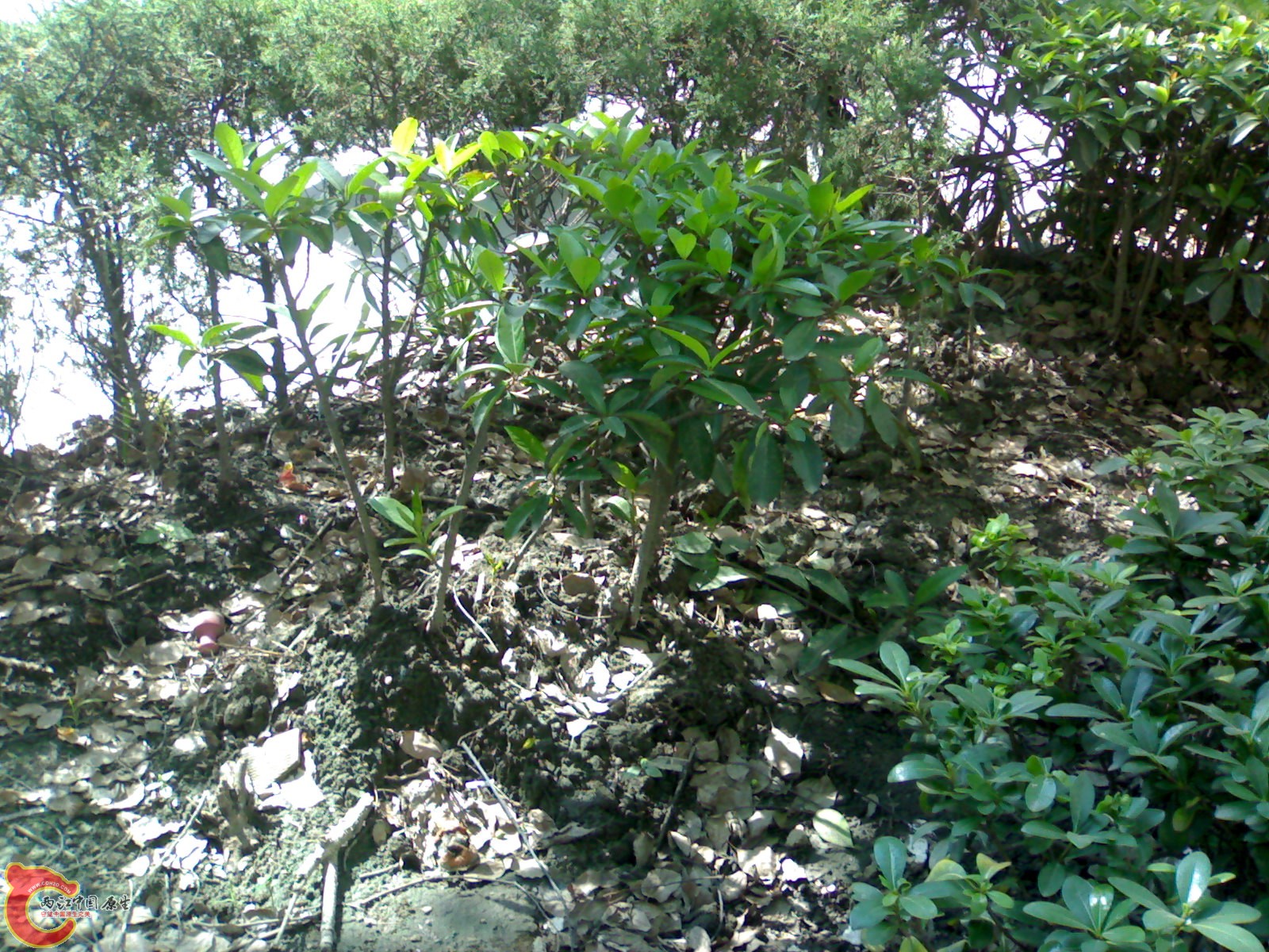 20101017359.jpg
