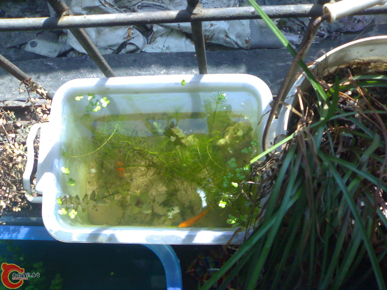 20101017365.jpg