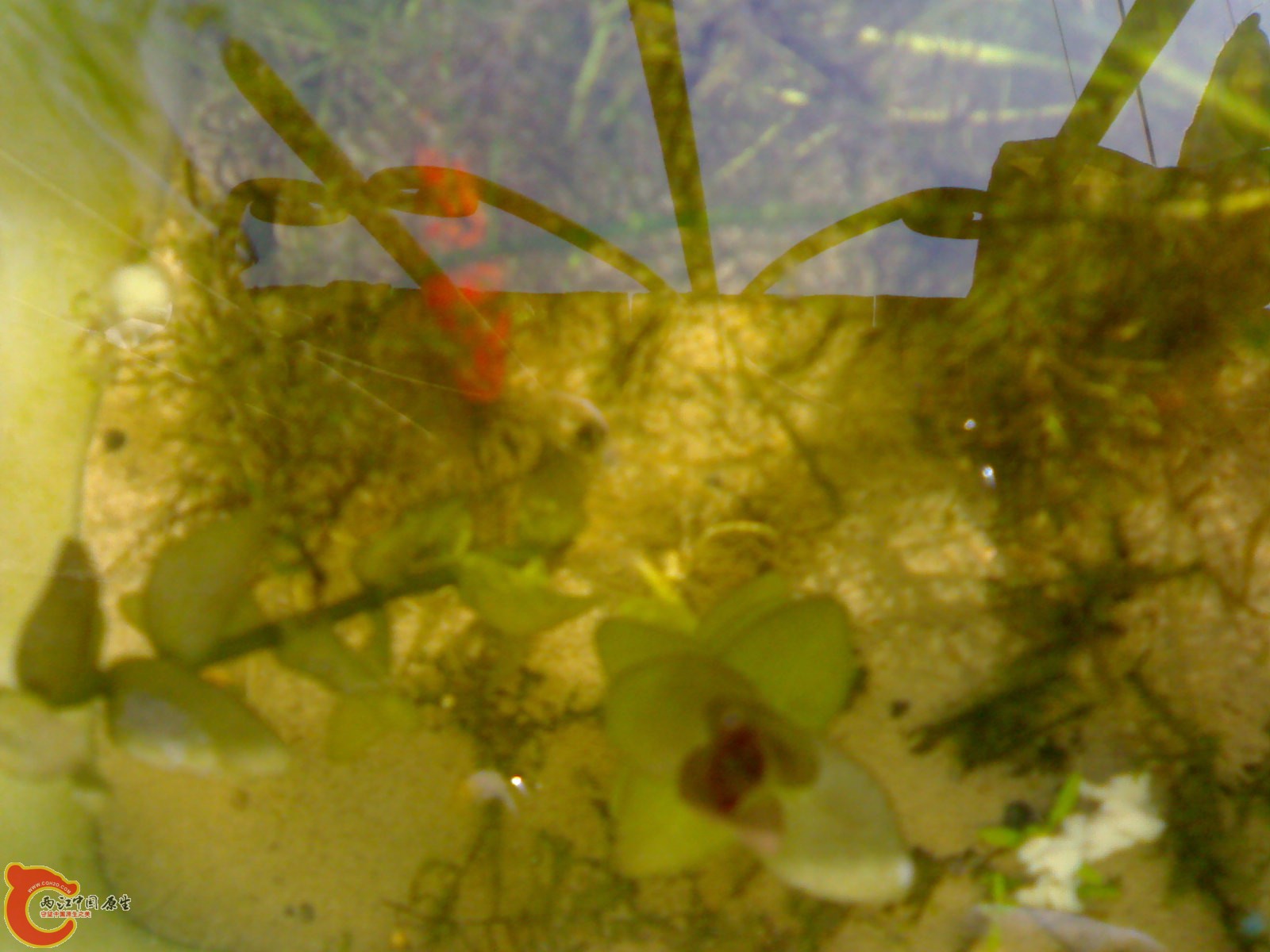 20101017364.jpg