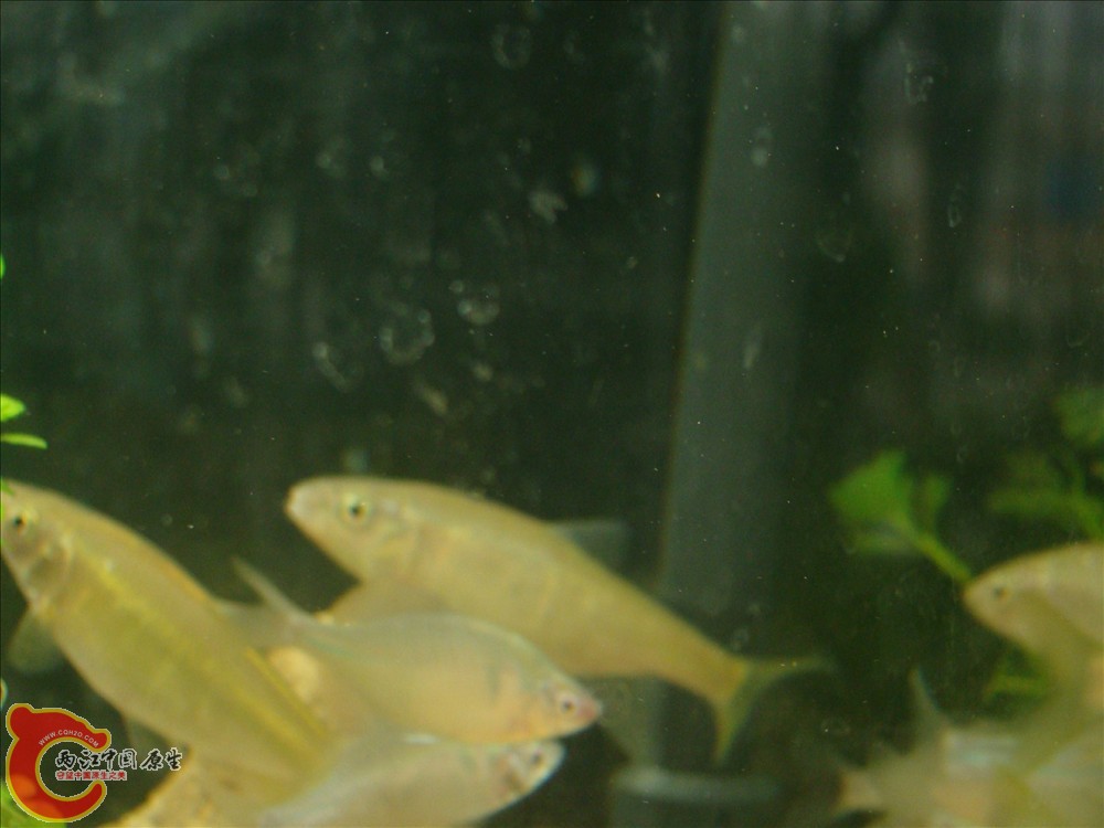 DSC02702.JPG