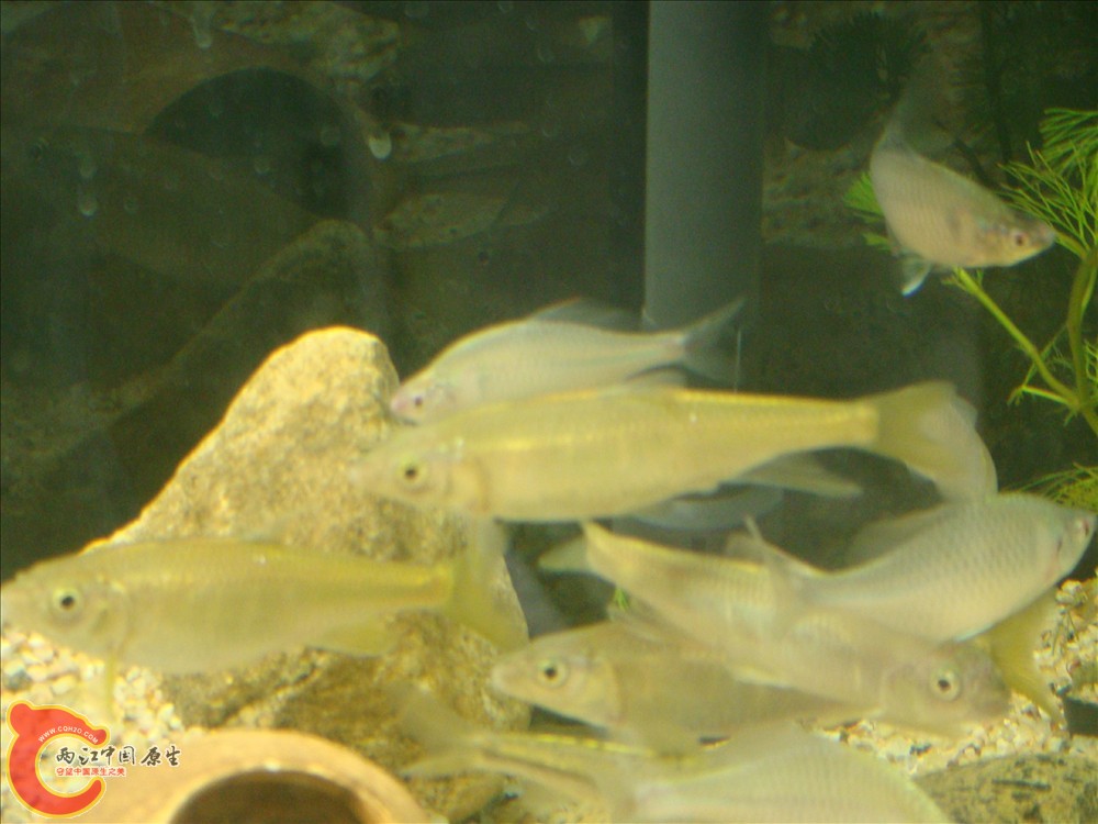 DSC02705.JPG
