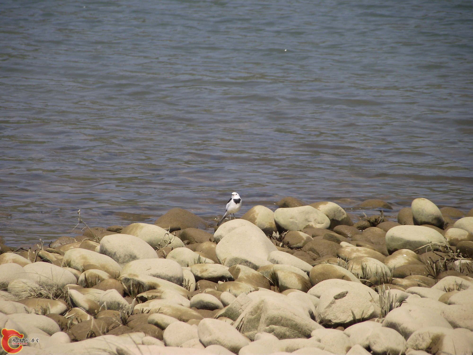DSCF0663.JPG