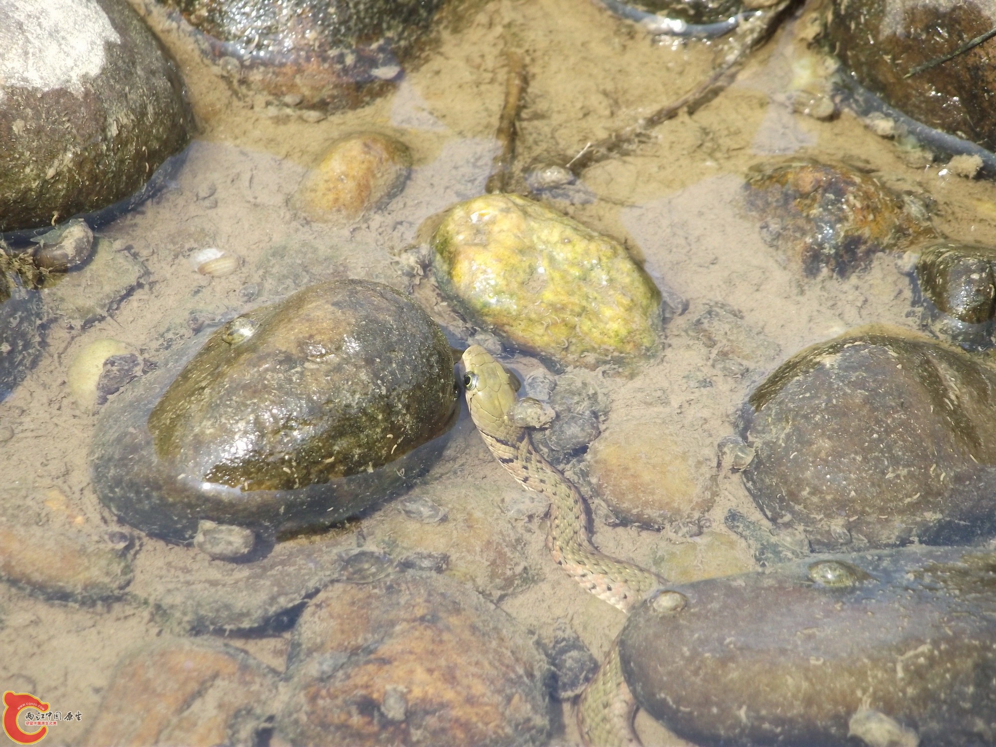 DSCF0659.JPG