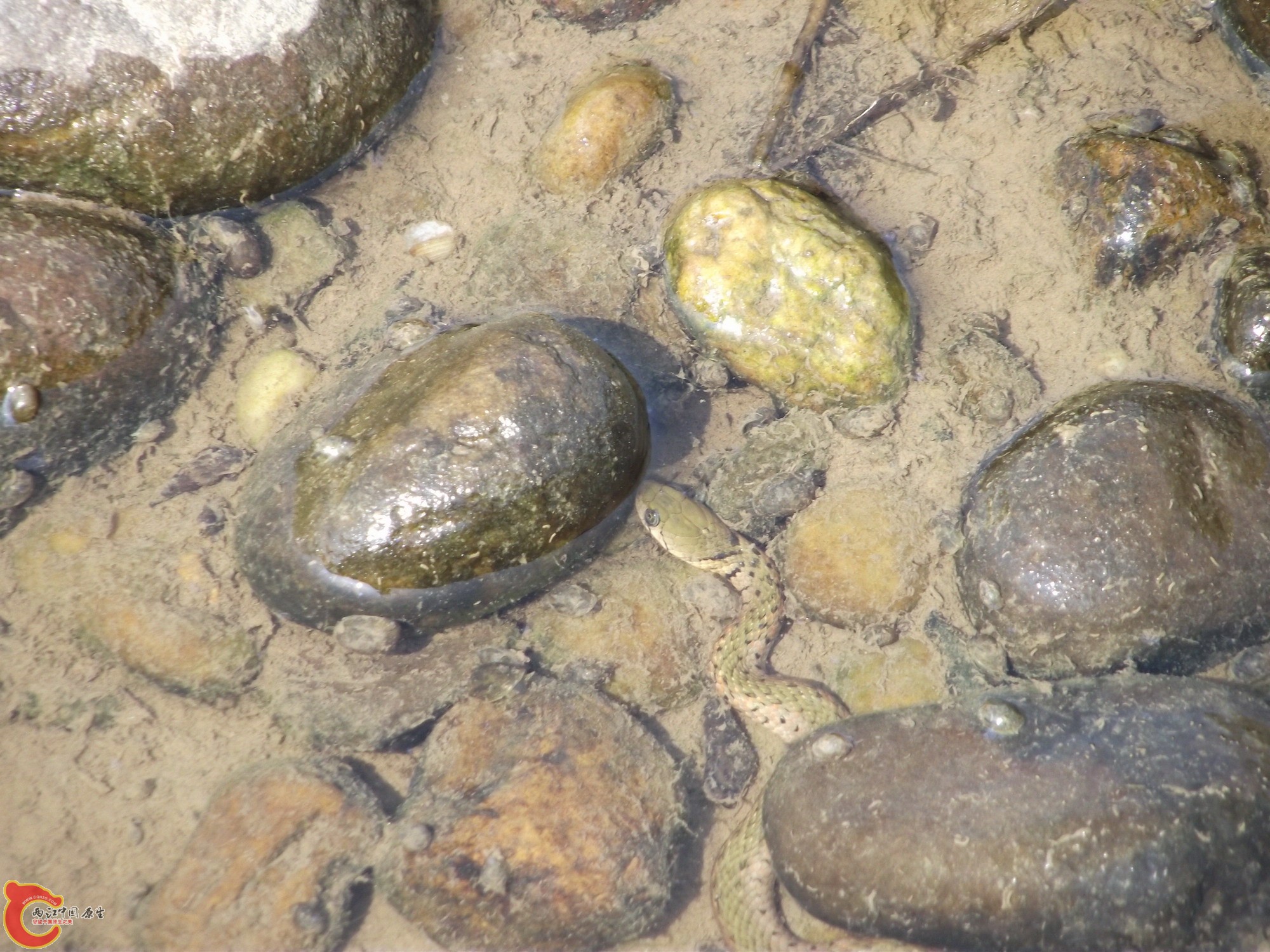 DSCF0656.JPG
